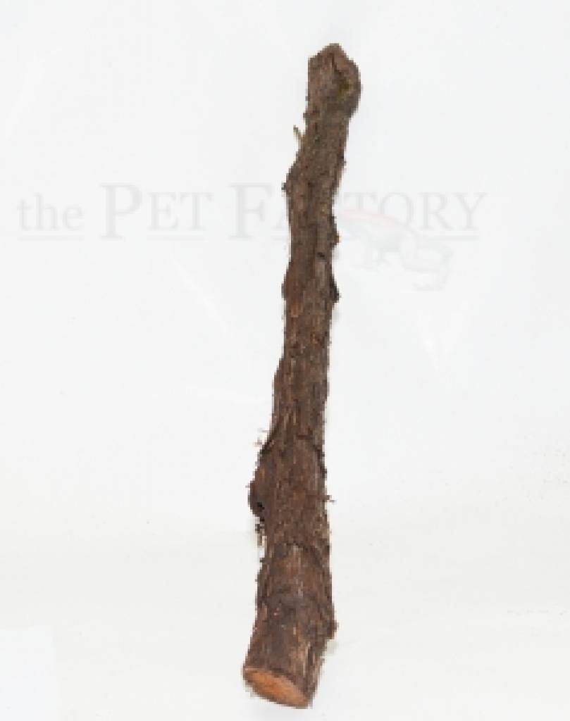 Black Wood ca. 40- 60cm